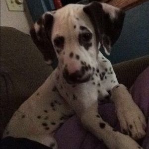 Meet your Posher, Heather